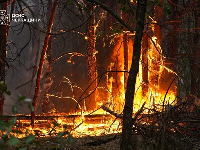 In Cherkasy region, a fire spread from a private household yard and engulfed 100 hectares of forest
