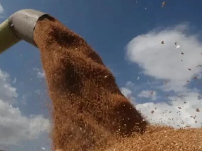 Wheat prices approached a three-year high due to strikes on Black Sea ports — FT