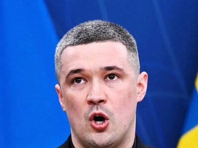 The protests began as a quest for justice, but ended up nearly becoming part of Fedorov's new political project — expert