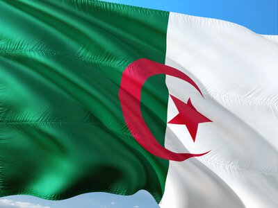 Algeria prepares death penalty for arson amid wildfires - Bloomberg