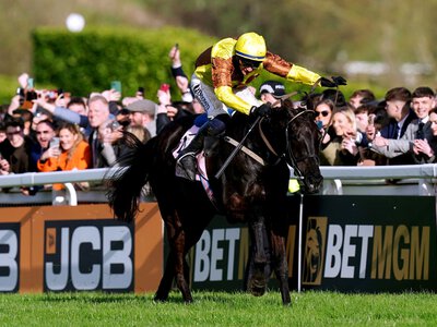 Galopin Des Champs: Two-time Cheltenham Gold Cup winner dies aged 10 following accident in field