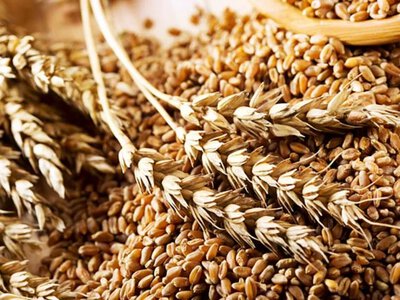 World food prices reached their highest level since late 2022, with the war in Ukraine being one of the reasons