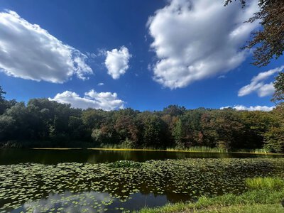 The weather in Ukraine will change dramatically; Indian summer will be replaced by rain and colder temperatures
