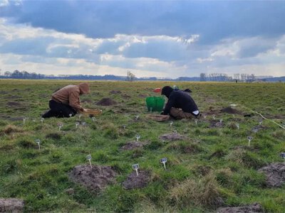In Belgium, an 800-year-old medieval structure was discovered with the help of moles