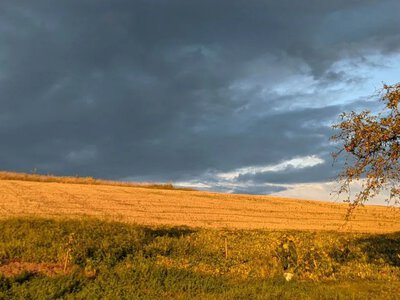 A cold atmospheric front is moving into Ukraine: rain, strong winds, and a sharp drop in temperature are expected