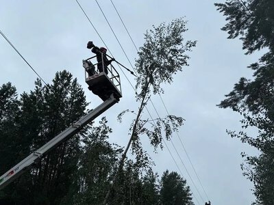In Ukraine, Russian shelling has caused power outages in eight regions, while more than 600 settlements are without electricity due to bad weather