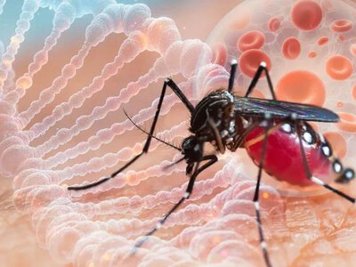 The fifth death among people infected with West Nile virus has been recorded in the Netherlands