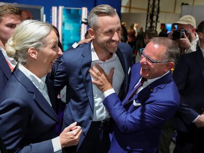 Germans consider the AfD more dangerous than Die Linke for democracy - Bild
