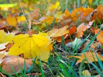 No precipitation and up to +23° — what the weather will be like in Ukraine on September 29