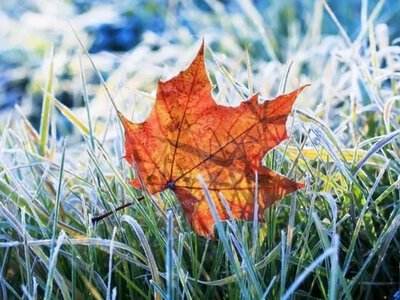 Up to +22° during the day, but with nighttime frosts — weather forecast for October 2