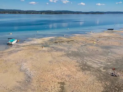 Ferry service on Lake Constance in Germany suspended due to low water levels