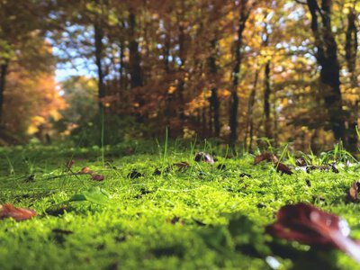 Sunny during the day, frost at night — what the weather will be like in Ukraine on October 3