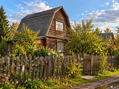 Autumn at the dacha: what needs to be done to prepare the plot for winter