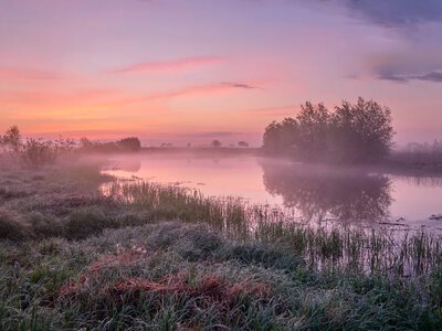 Ground frosts and fog — what weather to expect in Ukraine over the next three days