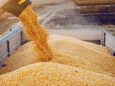 Russia is seeking new routes for grain exports after a sharp collapse via the Black Sea — intelligence