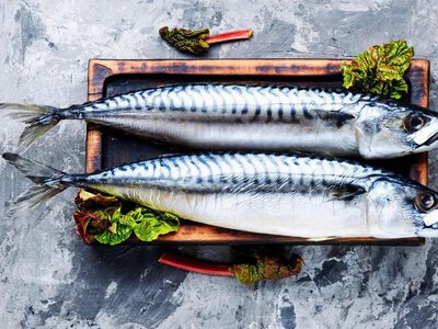 A dietitian explained the benefits of mackerel and how to eat it properly