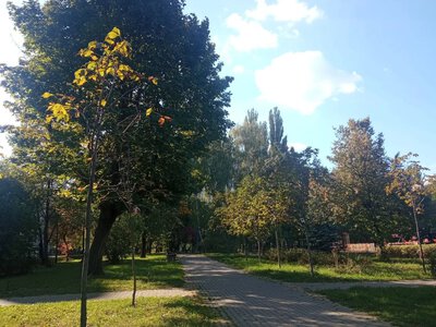 Up to 24°C and fog in the morning: what the weather will be like in Ukraine on October 8