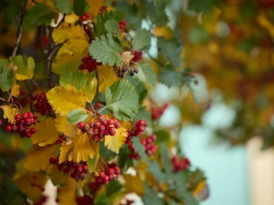 Atmospheric front will bring rain and cooler temperatures — weather forecast for October 9