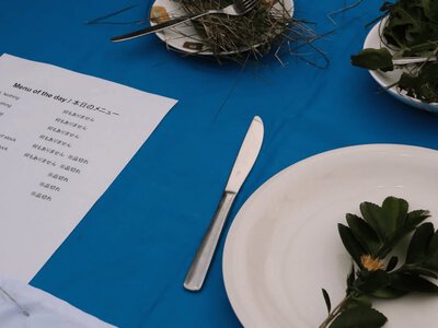 Grass and leaves on plates: Tokyo demonstration highlights humanitarian crisis in Oleshky