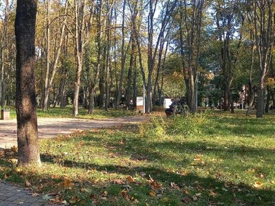 Rain will cover Ukraine on October 12, with temperatures in Kyiv reaching 13°C