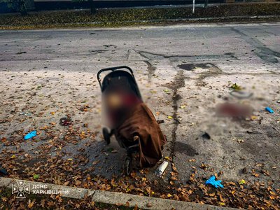 The occupiers struck a park in the Kharkiv region with a drone — two women and an infant in a stroller were killed