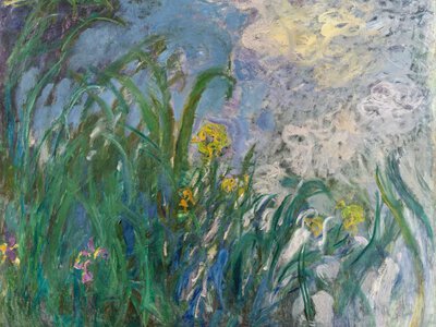 A Monet painting that had not been shown to the public for more than 100 years was sold for $56 million