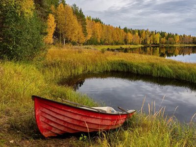 Rain in several regions and fog in the west: what the weather will be like in Ukraine on October 25