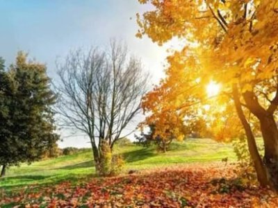 The weather on October 25 will surprise with autumn warmth: where temperatures will reach +18°C and which regions will be hit by rain