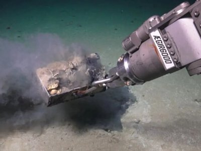 At the bottom of the ocean, scientists discovered a mysterious grave with a unique ecosystem
