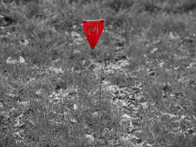 Restrictions on demining have been introduced near the front line and the border with the Russian Federation