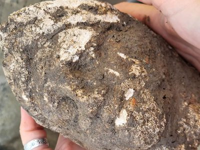 Luxurious baths, statues of gods, and precious objects – archaeologists have found the likely residence of a Roman military commander