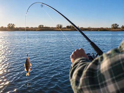 New restrictions for anglers starting November 1: where fishing will be banned and what fines will be imposed