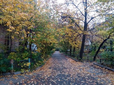 Rain will affect southern Ukraine, while cloudy weather is expected in Kyiv