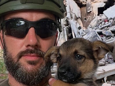 Canadian volunteer who came to Ukraine to rescue animals killed in Donetsk region