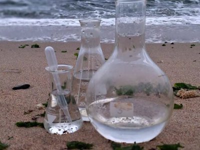 Ukraine resumes environmental monitoring of the Black Sea